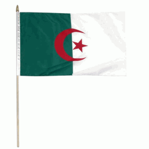Algeria Miniature small table desk flag