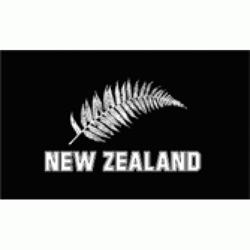 New Zealand Silver Fern Flag 150x90cm