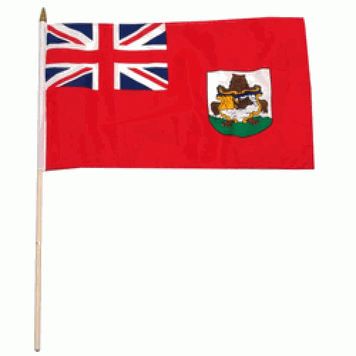 Bemuda Miniature small table desk flag 15cm x 10cm