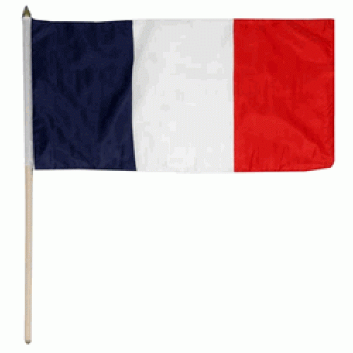 France Miniature small table desk flag 15cm x 10cm