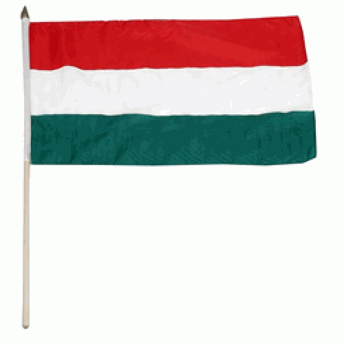 Hungary hand held wavers flag on plastic stick 30x45cm – Carrara Flags