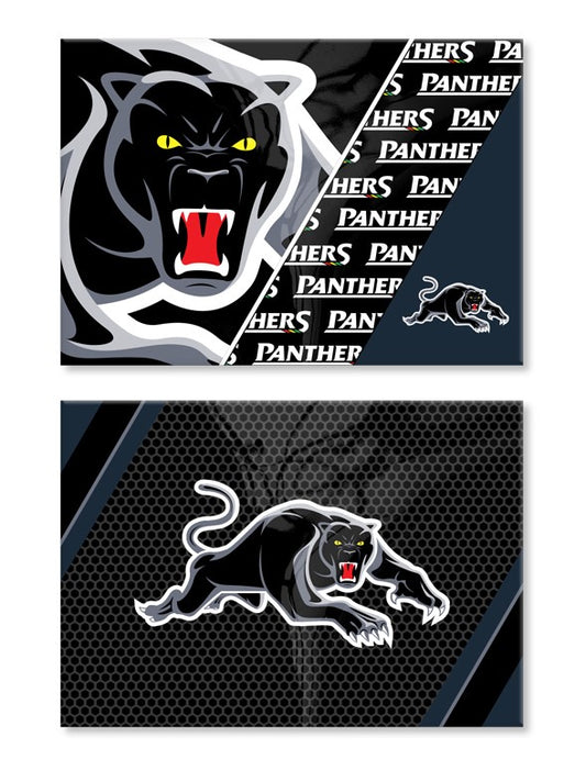 PANTHERS SET OF 2 MAGNETS