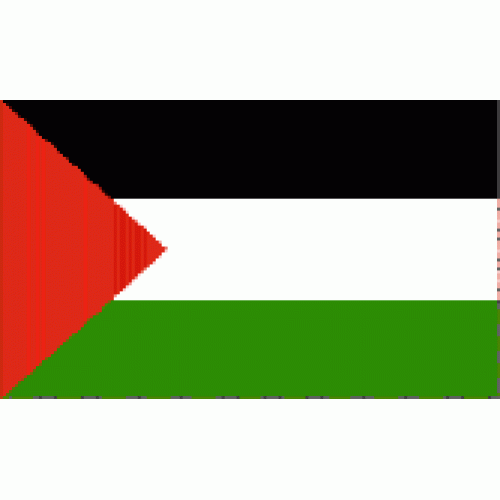 Palestine flag 150x90cm