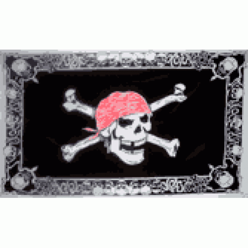 Pirate Scull with Border Flag 150 x 90cm
