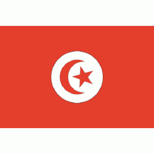 Tunisia Flag 150x90cm