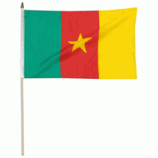 Cameroon hand Held Waver Flag on stick 30x45cm