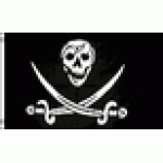 Pirate skull sword large flag