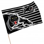 Penrith Panthers Medium Flag 90x60cm  (NO STICK)