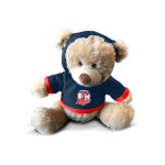 ROOS PLUSH TEDDY WITH HOODIE