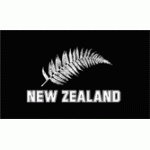 New Zealand Silver Fern Flag 150x90cm