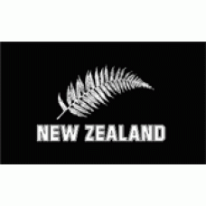 New Zealand silver fern flag 60x90cm